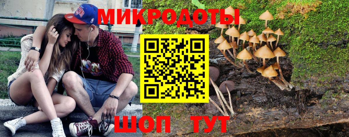 Псилоцибиновые грибы прущие грибы  Вход с VPN  Электросталь 