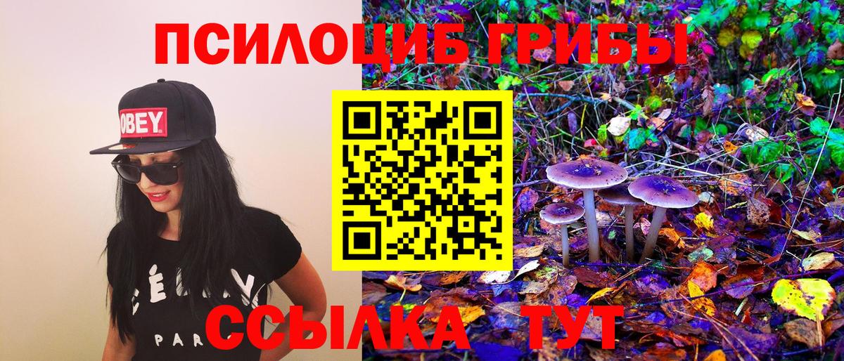 Псилоцибиновые грибы Magic Shrooms Электросталь